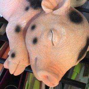 Meet your Posher, Kim
